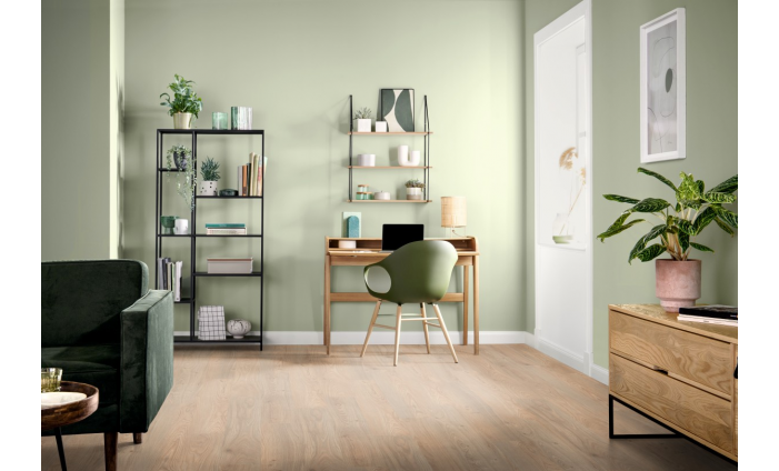 Dub Conway prírodný