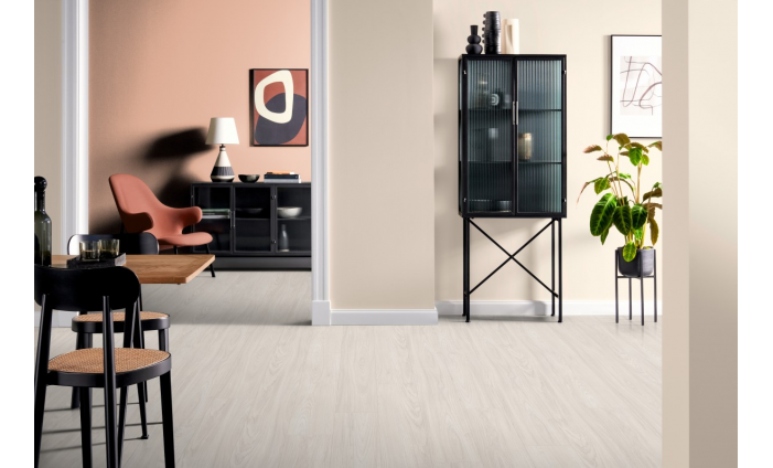 Akácia Sheffield biela