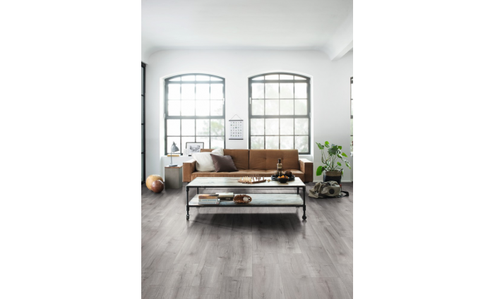 Dub Loja svetlosivý