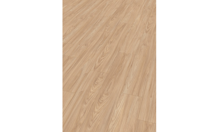 Akácia Sheffield prírodná