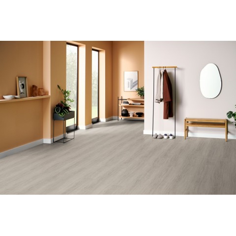 Dub Victoria svetlosivý