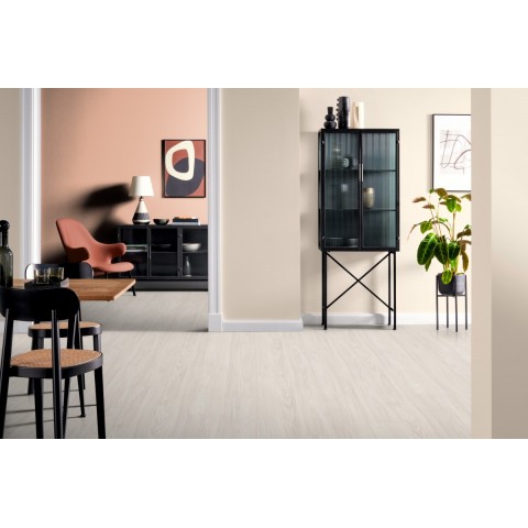 Akácia Sheffield biela