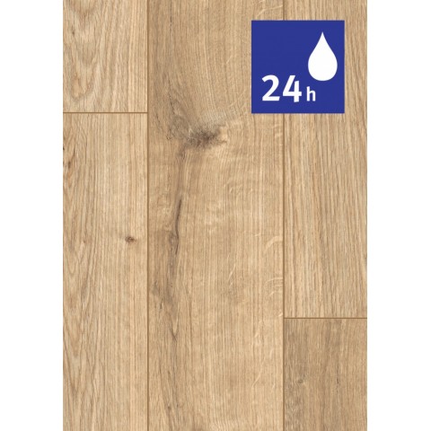 Dub Dunnington svetlý