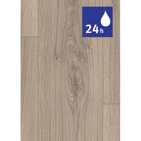 Dub Pinot svetlosivý